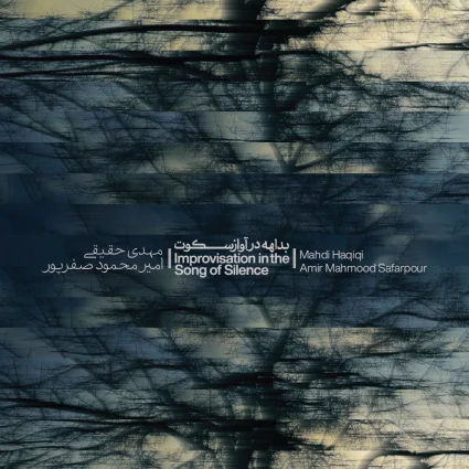 Improvissation in the Song of Silence
